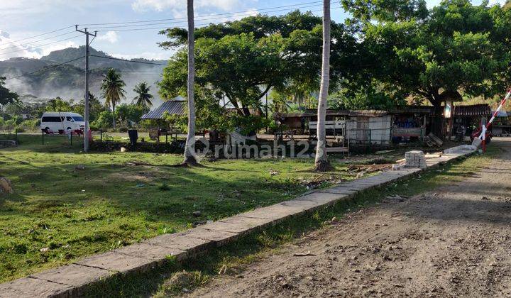 Tanah Pinggir Jalan Raya Serangan Dekat Kuta Mandalika  1