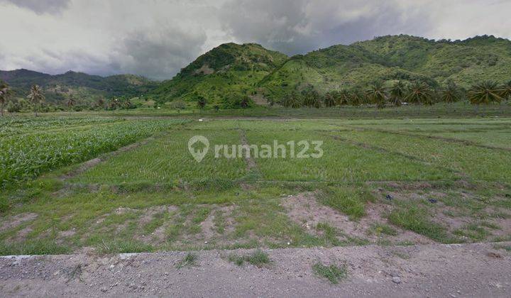 Tanah Dekat Pantai Torok Aik Beleq Tab Lombok 4