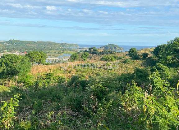 Tanah Super Premium View Laut Dan Sirkuit Kuta Mandalika  8