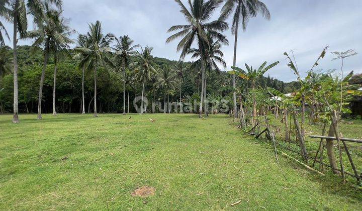 Tanah Murah Cocok Untuk Perumahan di Sentral Senggigi Lombok  3