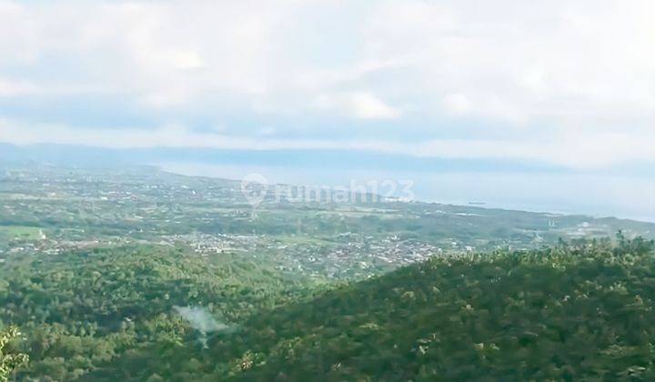 Restaurant Instagramable di Bukit Bengkaung Lombok Barat 3