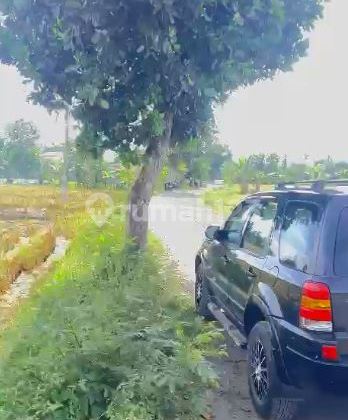 Tanah Sawah Lahan Pertanian Dekat Pantai Induk Lombok Barat  2