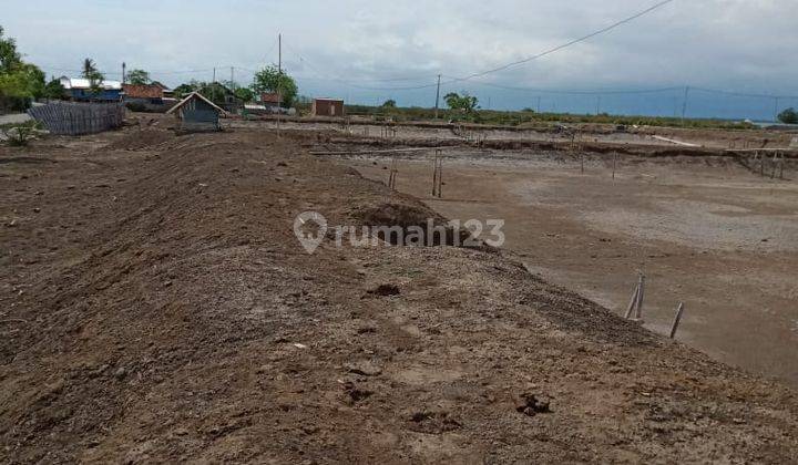 Tambak Siap Pakai di Sumbawa Dekat Pelabuhan Tano 2