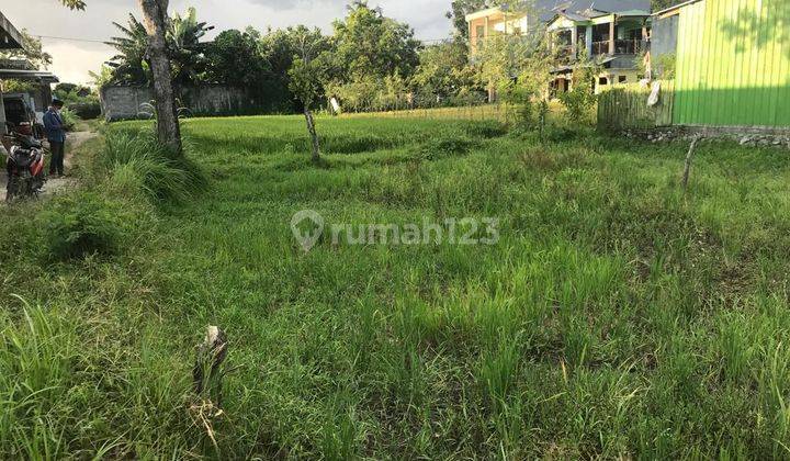 Tanah Kapling Cocok Untuk Kos kosan Dekat Kampus Uin Mataram 4