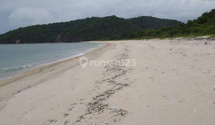 Tanah Pinggir Pantai Jelenga Sumbawa  3