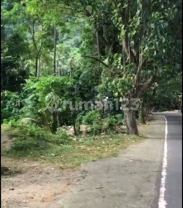 Tanah di Pinggir Jalan Raya Stangi Dekat Senggigi  2