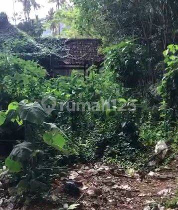Tanah di Pinggir Jalan Raya Stangi Dekat Senggigi  3