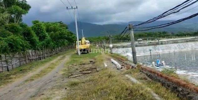 Tambak Udang Siap Pakai di Obel obel Lombok Timur  1
