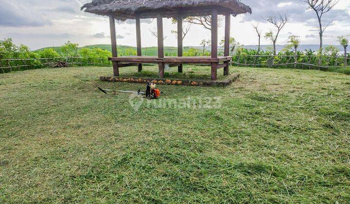 Tanah Pinggir Pantai Ekas Lombok  2