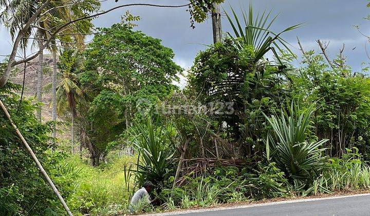 Tanah Pinggir Jalan Raya View Laut di Sekotong Tengah  2