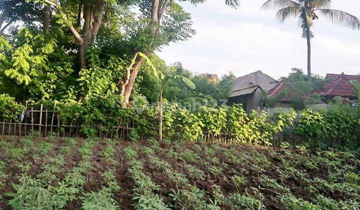 Tanah di Gili Meno Lombok Utara 1