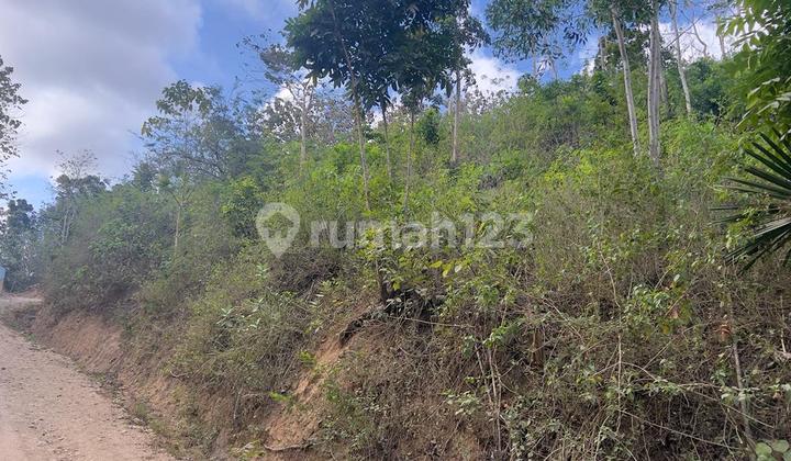 Tanah di Kuta Mandalika Dekat Sekolah Internasional  2