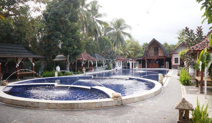 Lesehan Dan Kolam Renang di Sesaot 1