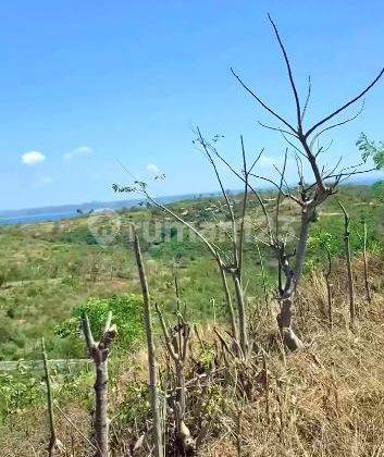 Tanah View Laut Dekat Pantai Kura kura Lombok Timur 1