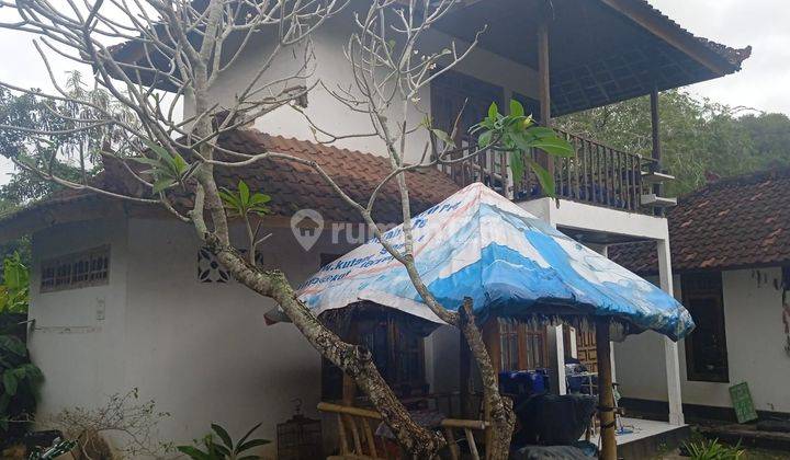 Homestay di Pinggir Jalan Raya Kuta  1