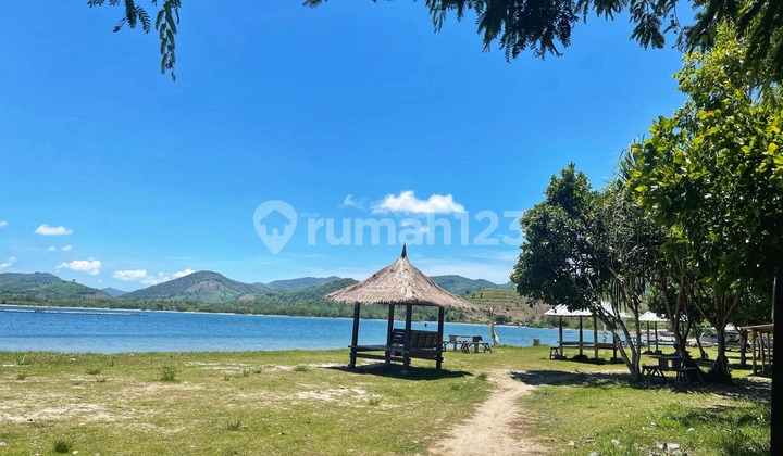 Tanah Depan Pantai Sekotong Pinggir Jalan Raya 