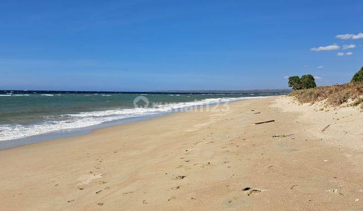 Tanah Pinggir Pantai Pasir Putih Sumba,menghadap Pulau Komodo 1