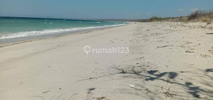 Tanah Pinggir Pantai Pasir Putih Sumba,menghadap Pulau Komodo 2