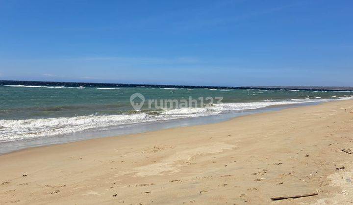 Tanah Pinggir Pantai Pasir Putih Sumba,menghadap Pulau Komodo 1