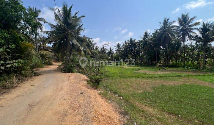 Tanah di Areguling Dekat Pantai 2