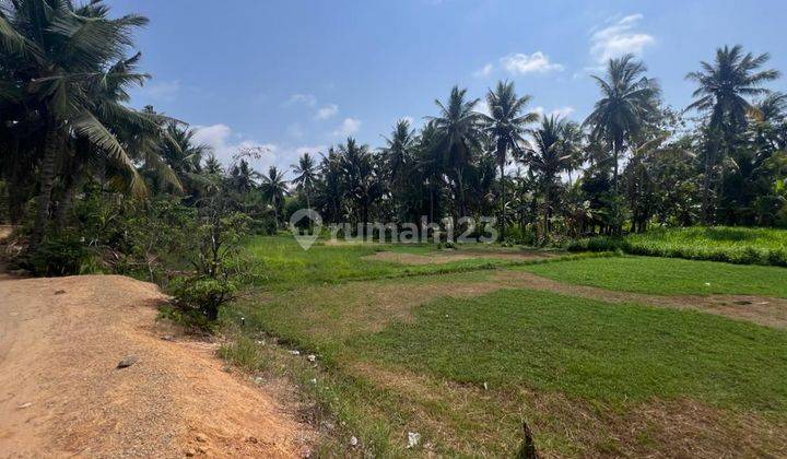 Tanah di Areguling Dekat Pantai 1