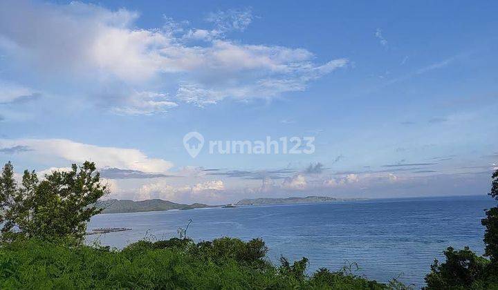 Tanah Pinggir Pantai Pesisir Utara Labuan Bajo Lokasi Tanjung Boleng 1