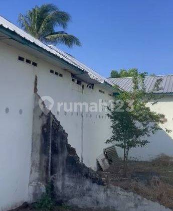 Rumah Sarang Burung Walet di Lombok Utara 2