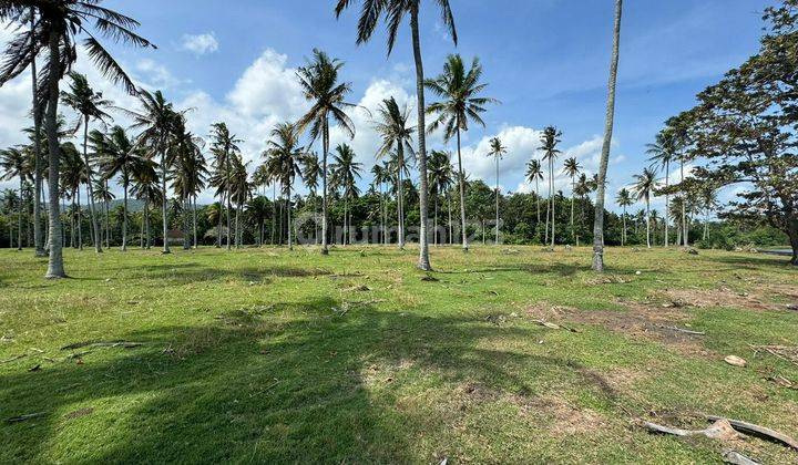 Buc Tanah Pinggir Beach Balian Beach Tabanan Bali 2