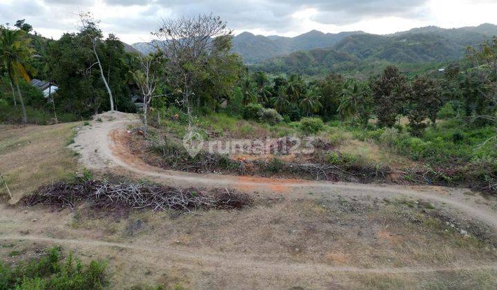 Tanah Bukit Prabu Areguling Dekat Somewhere Lombok 1