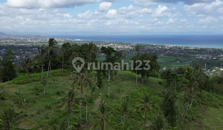 Plot land Senteluk Hill Bukit Bengkaung Batu Layar Lombok Plot land Senteluk Hill Bukit Bengkaung Batu Layar Lombok