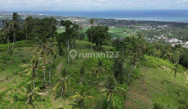 Tanah Diatas Bukit Bengkaung di Senteluk Batu Layar  1