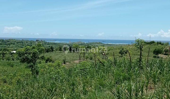 Tanah Pinggir Jalan View Laut di Ekas 1