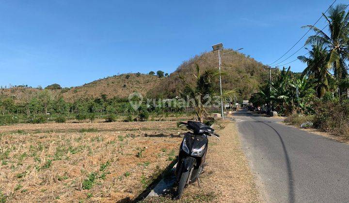 Tanah Pinggir Jalan Mawun Cocok Untuk Penginapan 1