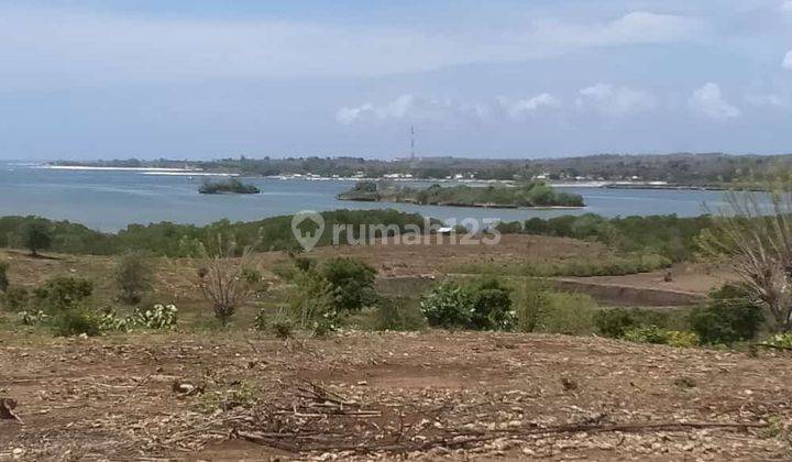 Tanah Tebing Loss Pantai di Jerowaru Dekat Pantai Pink  2