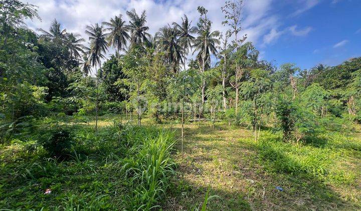 Tanah di Areguling dekat Kuta Mandalika  2