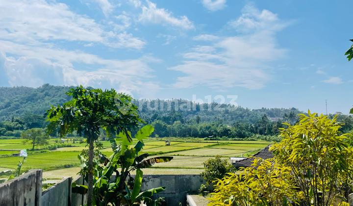 Tanah View Sawah di Gunung Sari Cocok untuk Villa