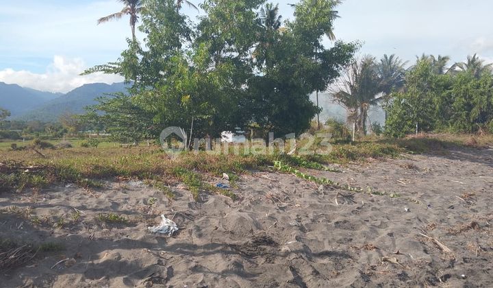 Tanah pinggir pantai dekat pelabuhan Bangsal  