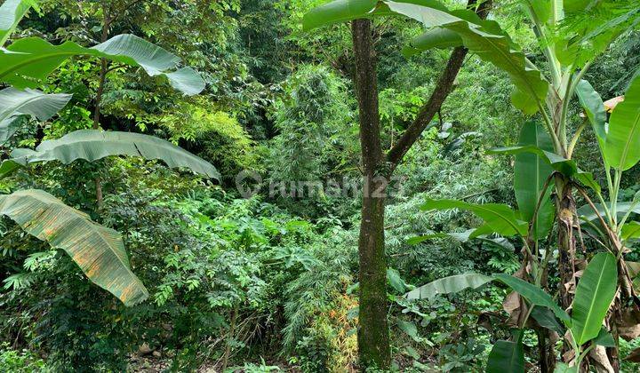 Tanah Malimbu dekat Resort Louis Kienne cocok untuk kebun  2