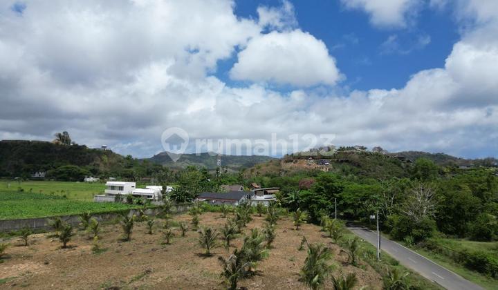 Tanah pinggir jalan Selong Belanak dekat Kuta Mandalika