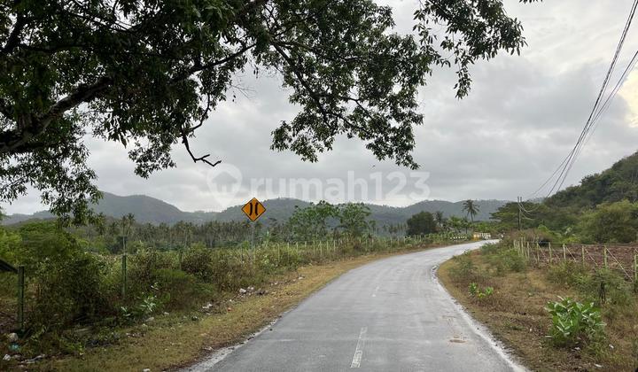 Tanah pinggir jalan raya Selong Belanak cocok untuk hotel