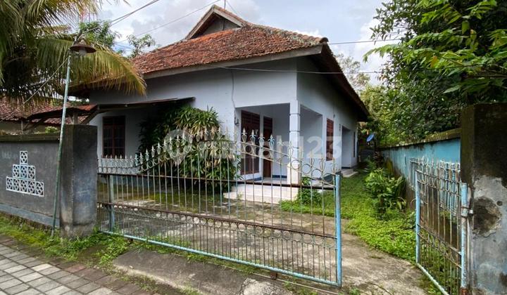 House in Pejeruk Ampenan House in Pejeruk Ampenan