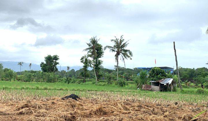 Tanah di Belakang Teras Udayana Kota Mataram  2