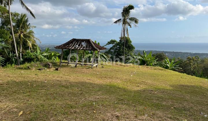 Plot land Senteluk Hill Bukit Bengkaung Batu Layar Lombok Plot land Senteluk Hill Bukit Bengkaung Batu Layar Lombok