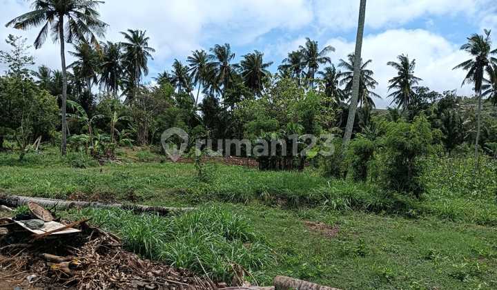 Tanah di prabu Areguling dekat Kuta Mandalika 
