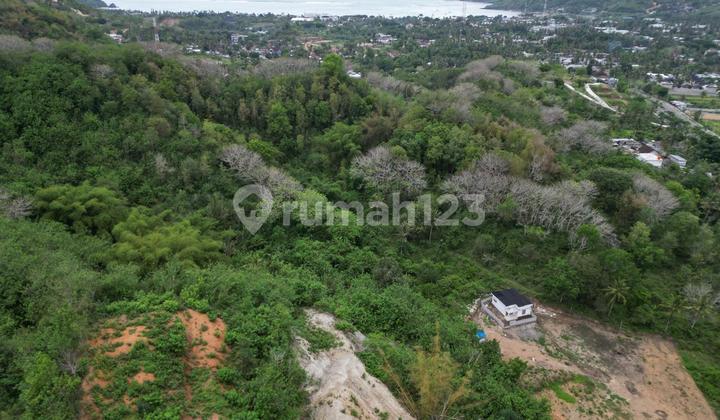 Tanah bukit ocean view central Kuta Mandalika Tanah bukit ocean view central Kuta Mandalika