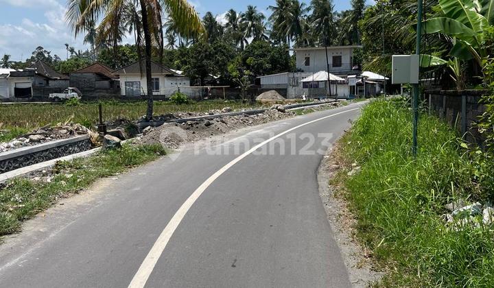 Tanah sawah murah dan strategis dekat LCC di Bertais Tanah sawah murah dan strategis dekat LCC di Bertais