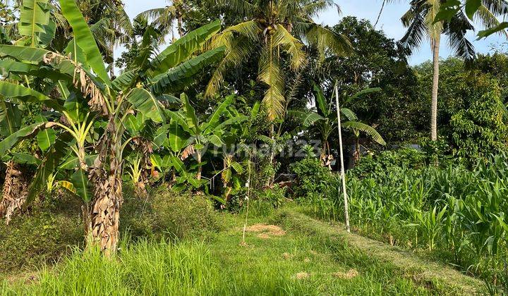 Tanah Kapling di Mapak Kuranji  2