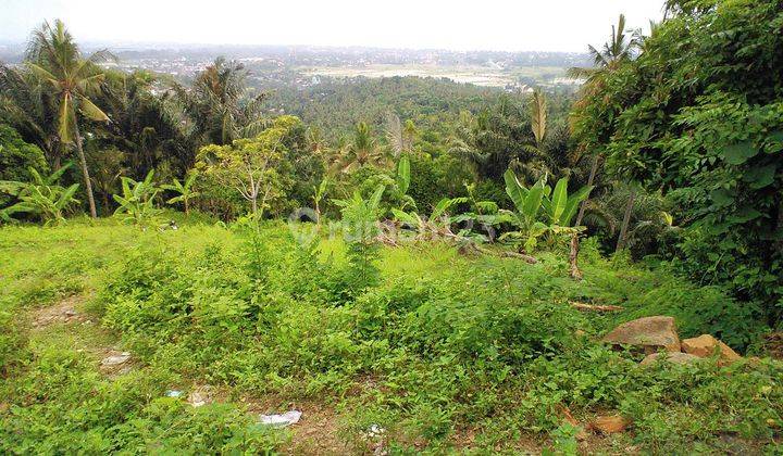 Tanah di Penyawangan Dekat Penyawangan Resto  2