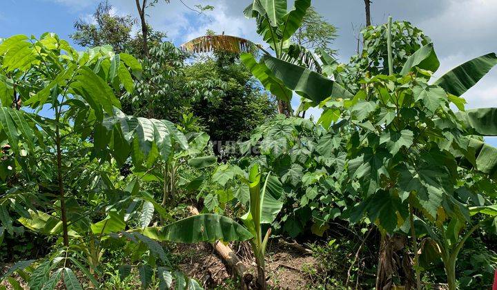 Tanah di Labulia Dekat Bypass Bandara Lombok 2