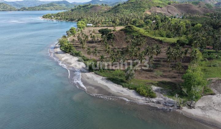 Tanah pinggir pantai Sekotong Batu Putih Tanah pinggir pantai Sekotong Batu Putih